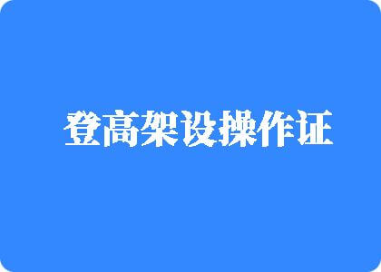 很很操日比视频网登高架设操作证